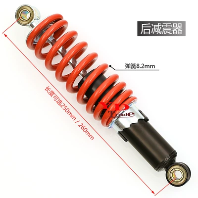 and Rear Shock Absorbers, damping system