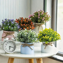 �������Ի��ܼ�ֲ���޹�²ݣ��҃��������Y�b����Լٻ�