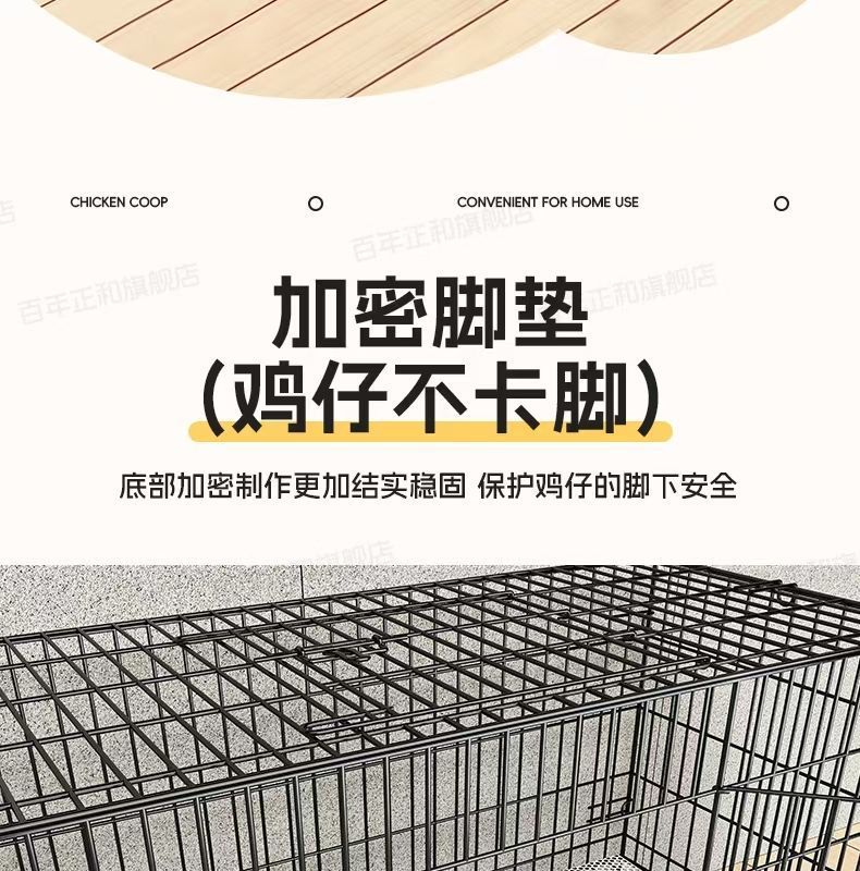 175c158f-7a7b-4c77-98b4-f5cab363bff8.jpe