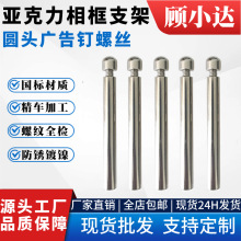 现货批发亚克力螺丝相框支架螺丝玻璃相框配件圆头广告螺丝支撑钉