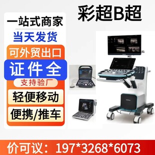 ꎵ�B�����aB�� �t��B���C���a�N�ۏS�������t��B���O��