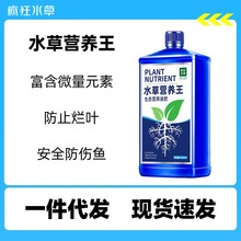 疯狂水草鱼缸水草营养液水族用品草缸基肥水草液态底泥肥厂家包邮