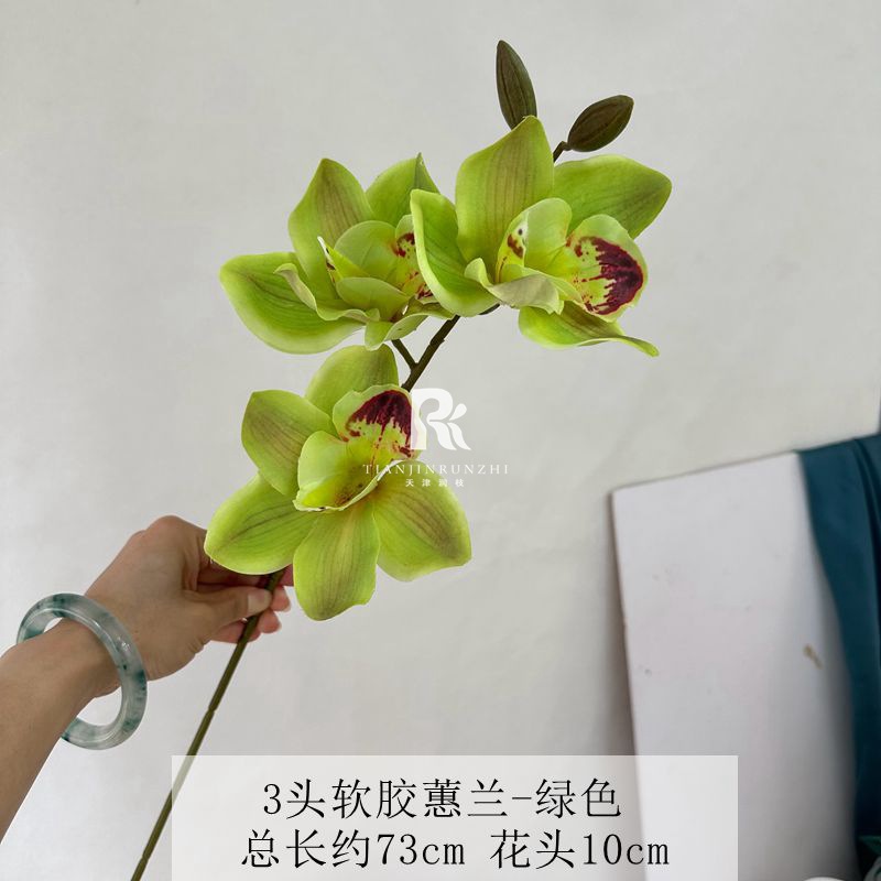 부드러운 고무 심비디움 그린 3개