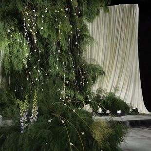 Simulation of a curtain of dream steel wire hanging Lu Qian grass green plant asparagus vine hanging rice rattan wicker big weeping willow hanging