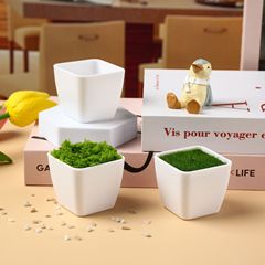 メーカー直販 厚手プラスチック植木鉢 正方形多肉植物鉢 卓上家庭用植栽鉢 模擬芝生対応