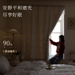 French-style lace Velcro curtains—no-punch installation, trendy for bedrooms, self-adhesive blackout curtains—dropshipping available.