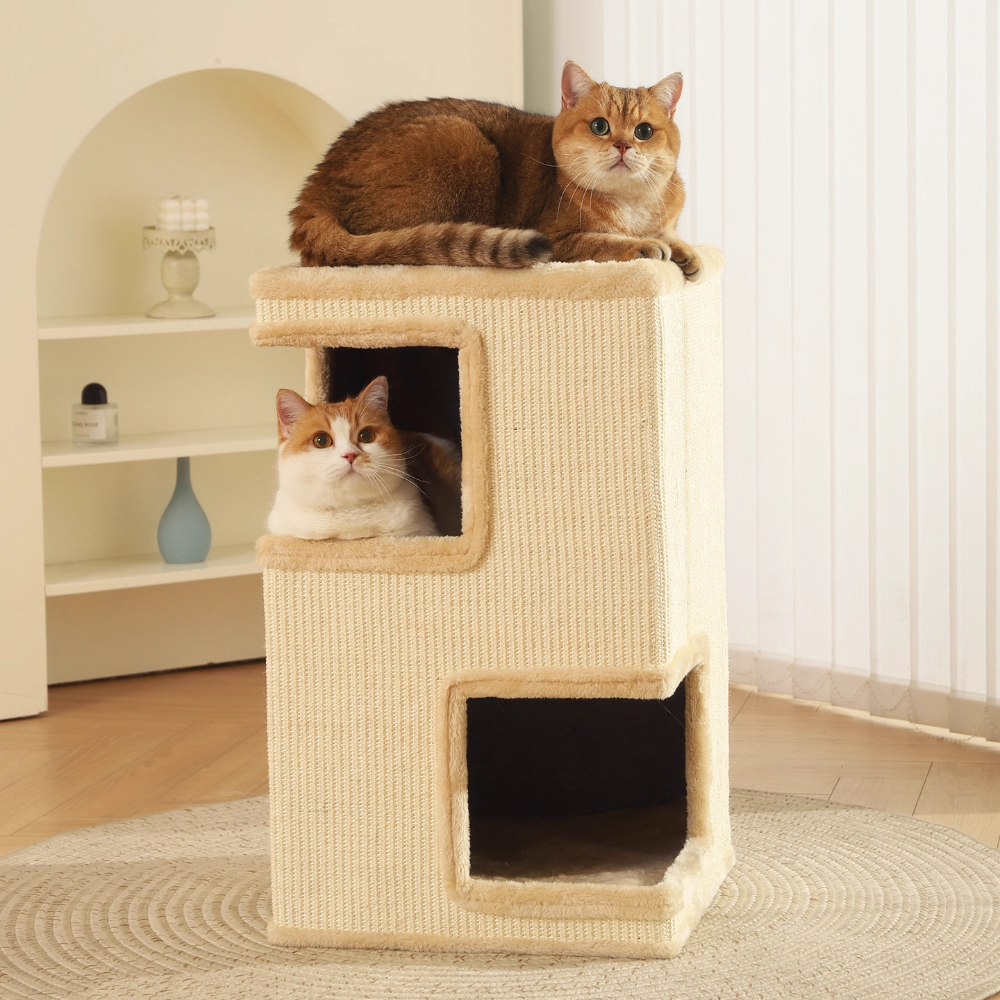 Pet Cat