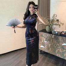 WDS5413�W��2025�羳���Q���l����ʽ�������۟o��z�q�����B��ȹ