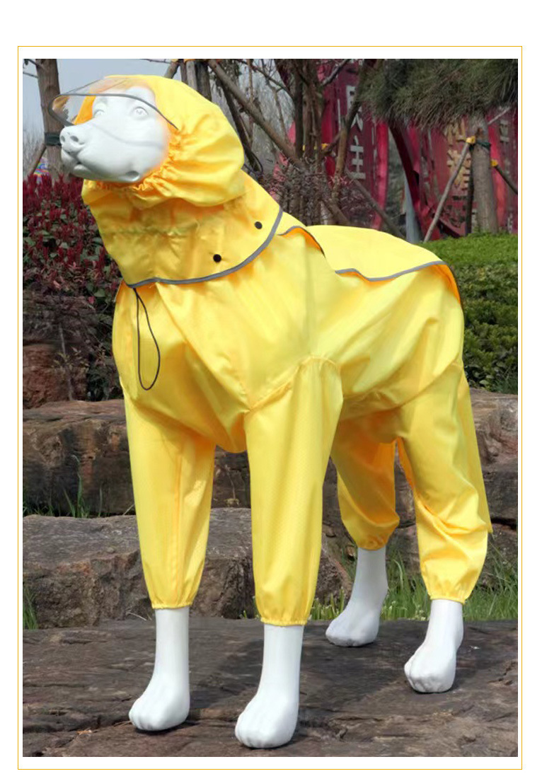 1457db59-05b0-4514-bbf0-fc73b43d4a2c.jpe