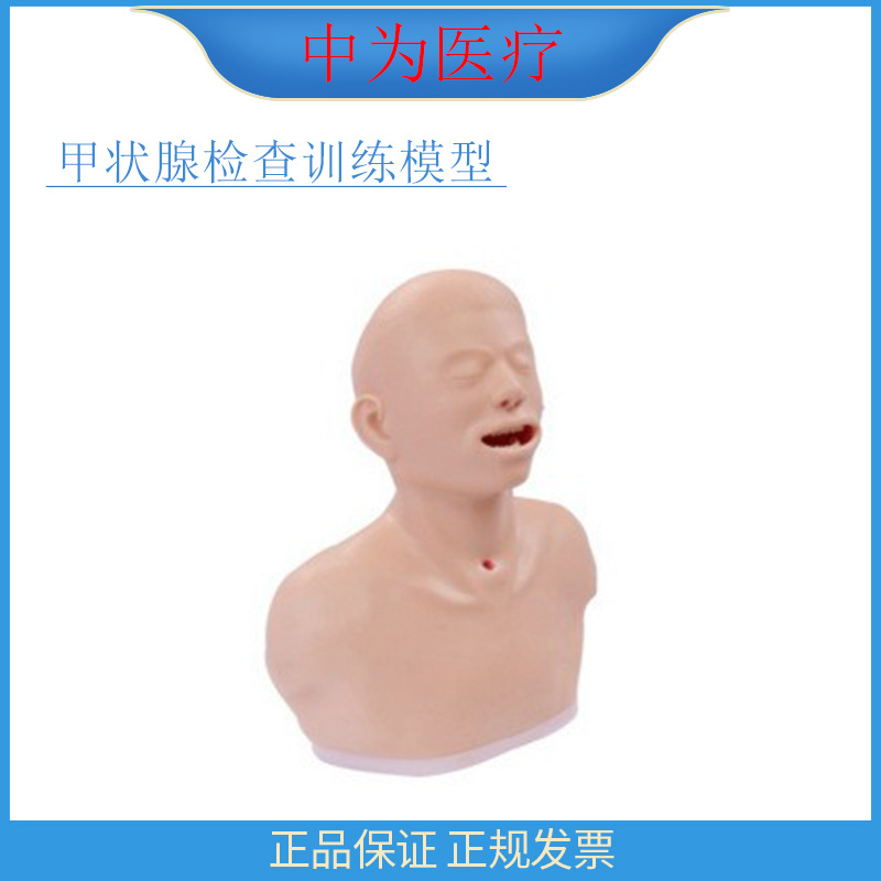 LV61 Medical Student Thyroid Training Template Thyroid Examination…