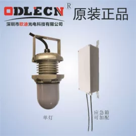 其他专用灯具;防爆灯;投光灯