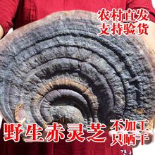 `֥Ұ`֥ȻɽҰ`֥o֥֦ݾҜa