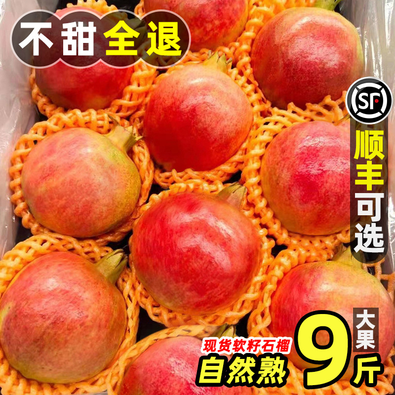 Tunisia Pomegranate 9 fresh fruit Season Full container Sichuan Province Huili Seedless Gift box 10 On behalf of