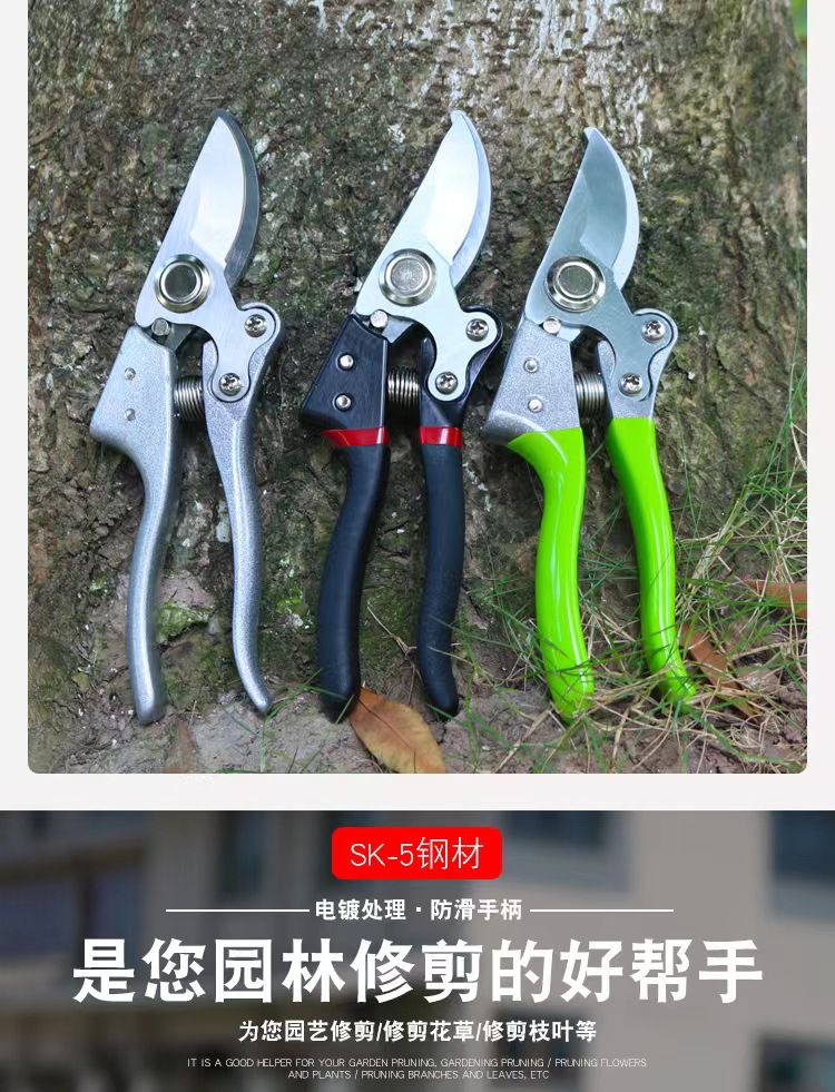 微信图片_20220808113827