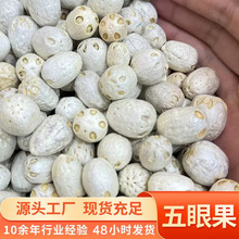 云南野生五眼果阳果五眼六通中药材批发文玩菩提子串无熏硫无染色
