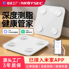 体重秤家用体脂秤充电子秤精准小型人体称重计智能已接入米家APP