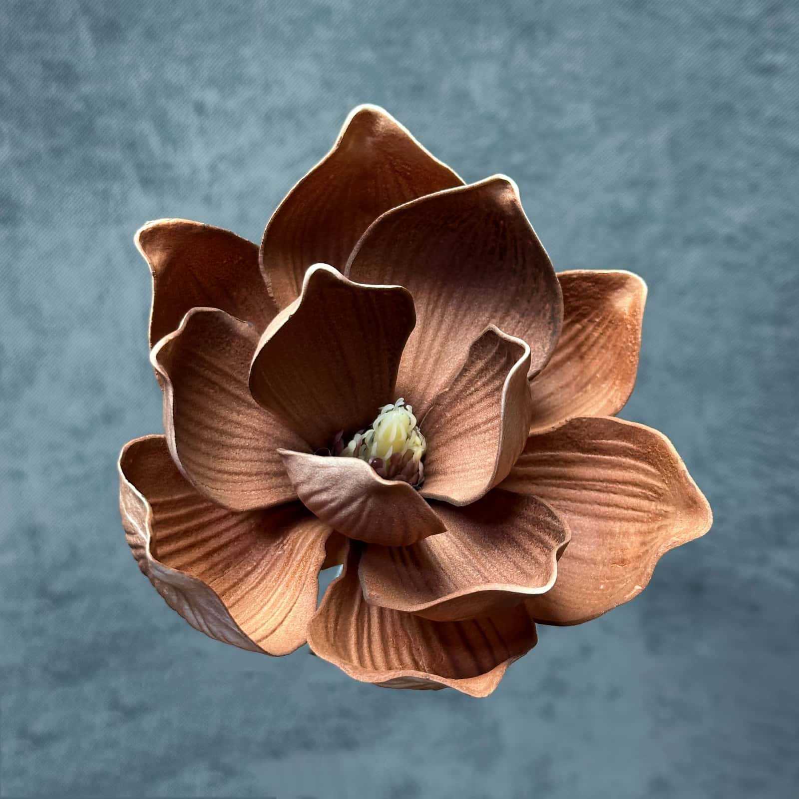 Flor de simulación transfronteriza EVA cabeza de magnolia 13cm tacto tocado kapok decoración decoración decoración flor falsa al por mayor