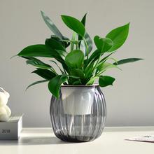 �G��������҃�С�Gֲ����ˮ�����˺��B�k����������՚��b�