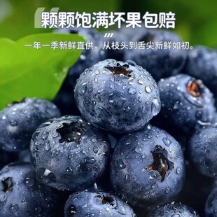 �{ݮ�r����ϻ����{ݮ���rˮ��10���ش����ɽ���w��ݮ������S�o