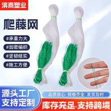 爬藤网苦瓜吊瓜丝瓜黄瓜豆角豇豆百香果专用网植物种植网攀爬农用