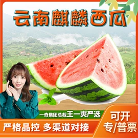 代用/养生茶;苹果;花果茶