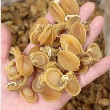大连鲍鱼精选海味干货批发干鲍仔50-80-100-300头冷藏锁鲜海鲜