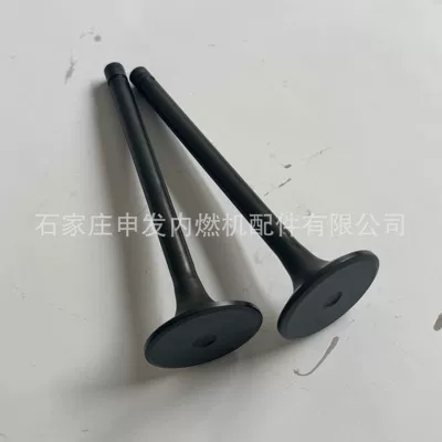 3052820, exhaust valve – Valves and components
