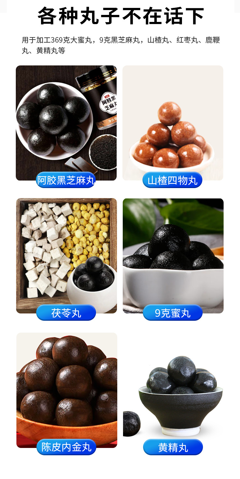 全自动黑芝麻丸制丸机_03