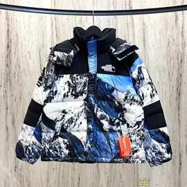 跨境代发美版1996羽绒服雪山一代男女款防水防风户外登山夹克外套
