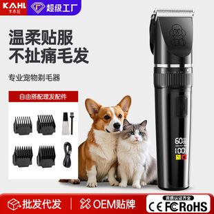 ̩�Ȍ�����ë����ë����؈�����l��̩�Ϲ�����Ƽ�����Ȯ��ë����