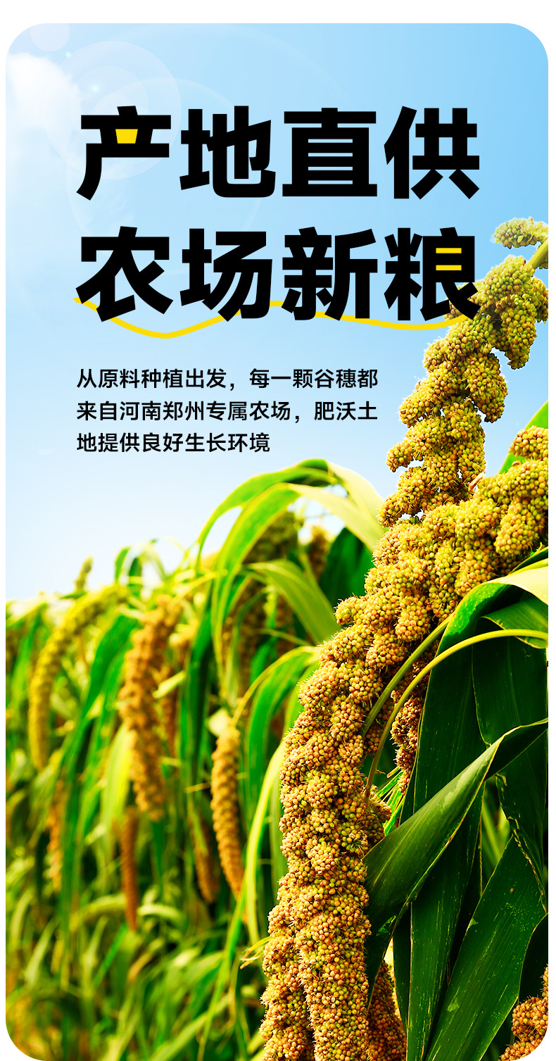大闸蟹预订，品味时令鲜美的佳肴