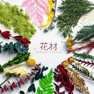 ~ȼ~ǧӽ~ɽX~ݸλ~ֹ