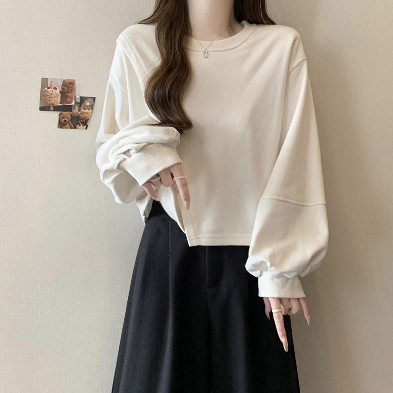 小个子短款无帽卫衣女2025秋季新款薄款宽松小众设计感长袖上衣服|undefined