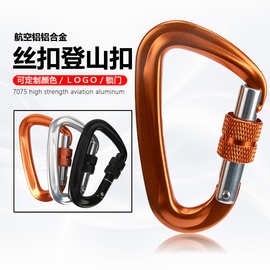 跨境D型丝扣登山扣7075航空铝秋千安全连接挂钩登山锁快挂带锁