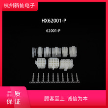 HX62001-Ph^-L6.2-tB / 10ֻ L6.2-PT