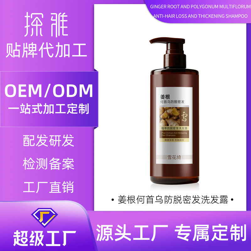 Customized Private Label Ginger Root and Polygonum Multiflorum Tea Anti-Hair Loss and Hair-Strengthening Shampoo, Anti-Dandruff, Anti-Itch, Oil-Control, Volumizing Shampoo Oem