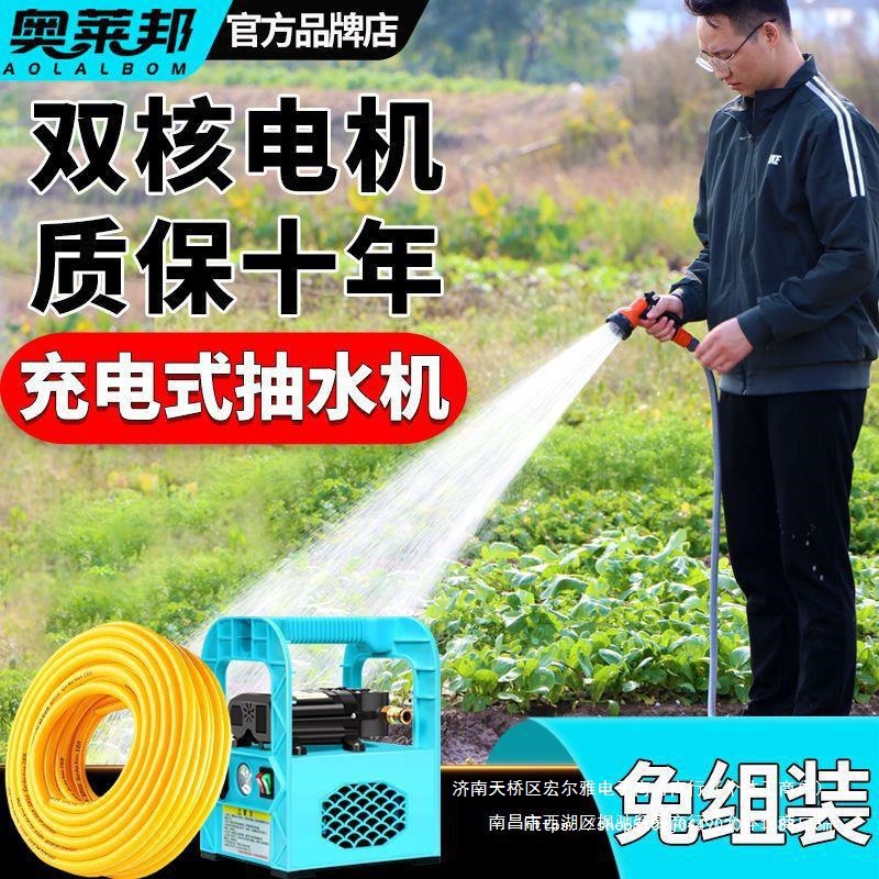 户外农田农用灌溉浇菜家用小型12V抽水机充电式便携手提自吸