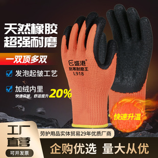 ������ů�ӽq�Ӻ�ëȦ���yƽ����ĥ���z��������������o�ڱ�����