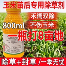 锄哈哈玉米田苗后除草剂不伤苗专用除草剂硝烟秀去津专用农药正品