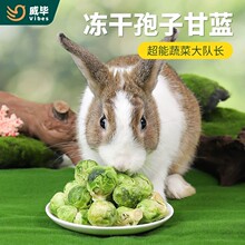 �������Ӹ��{������ʳ��ë��ʳ�����߲˸ɠI�B�oʳ���m�i���