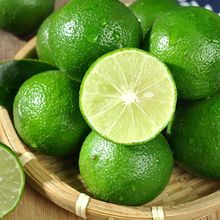 ���������ʙ������r�Fժ��Ƥ���ʮ���ˮ���Gɫ�����r����Ƥ���ʏS