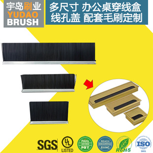 262611�k���������w����ëˢ �A���͘s�����w�� �������m����