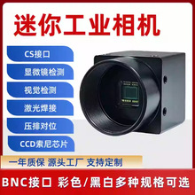 BNC接口工业相机压排机激光焊接CCD摄像头高清低照 黑白/彩色监控