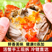 ���lз�F��з�S����з�����r���з�Q��з����з���з���öd�S��