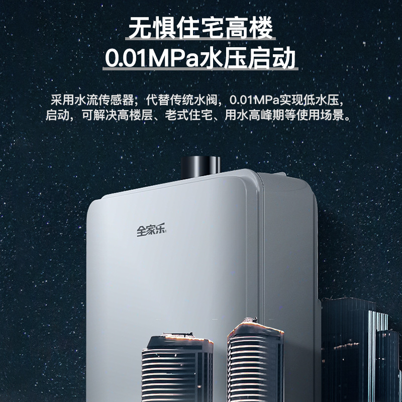 Outdoor 12L Natural Gas/LPG Smart Thermostatic Gas Water Heater with Strong Venting