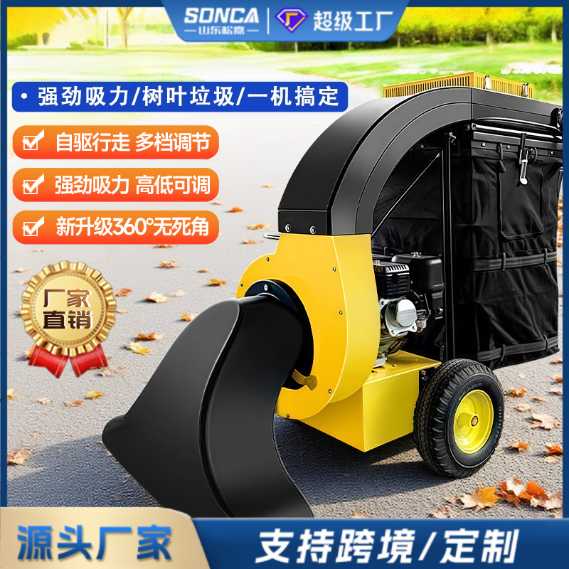 colector de hojas de carretera equipo de recolección de hojas caídas de jardín máquina de succión de hojas de empuje manual vehículo de recolección de hojas autopropulsado