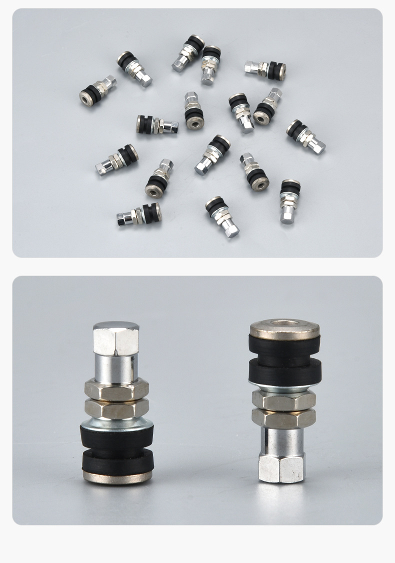 Mike's Stainless Steel Valve Stem Is Made of Alloy Material, Sturdy and Durable, Explosion-Proof Tire Valve with Core for Vacuum Tires