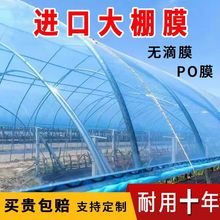 进口无滴膜大棚塑料膜抗老化防水透明蓝加厚高透光消雾膜保温膜