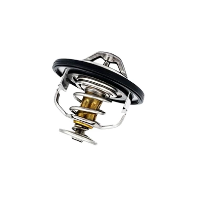 21200-Ed000 21200-5Rf3A 21200-El00B, Thermostat
