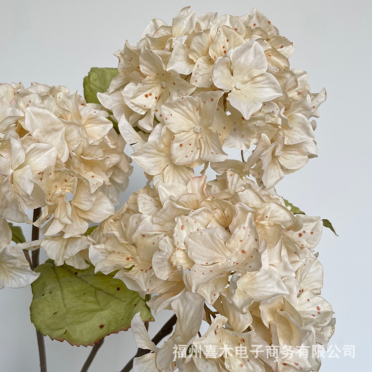 photo-output_1 9.JPG